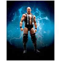 Wwe フィギュア shフィギュアーツ rock stonecold