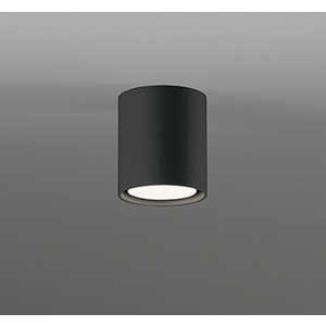 OL291745WR [�u���b�N]