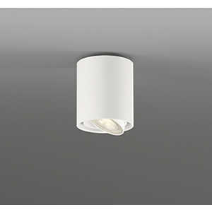 OL291748ULR [�I�t�z���C�g]