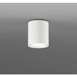 OL291752WR [�I�t�z���C�g]