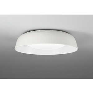 OL291762GR [�}�b�g�z���C�g�F]