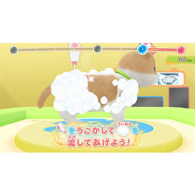 日本コロムビア Switchゲームソフト わんニャンどうぶつ病院 ペットを