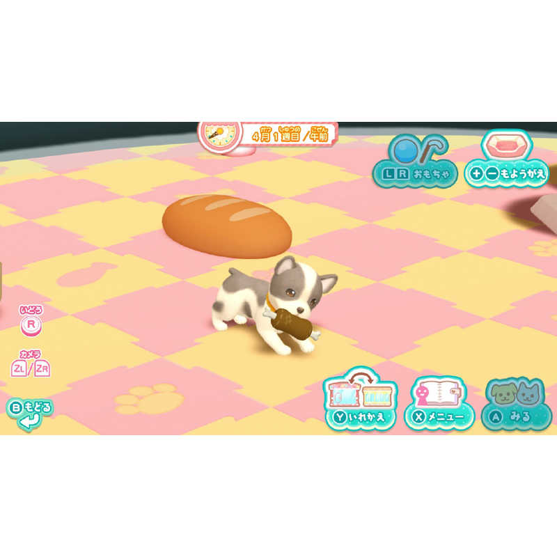 日本コロムビア 日本コロムビア Switchゲームソフト わんニャンペットショップ かわいいペットとふれあう毎日  