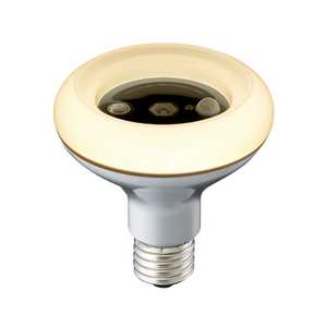 ドウシシャ LED電球 トイレのLED消臭電球 人感センサー付　ホワイト LDDR-40LHS
