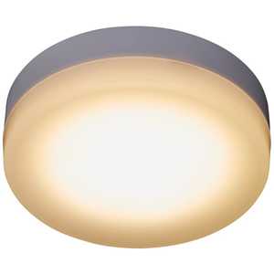 ドウシシャ LED小型シーリングライト　TN-CLS-L 電球色 TN-CLS-L