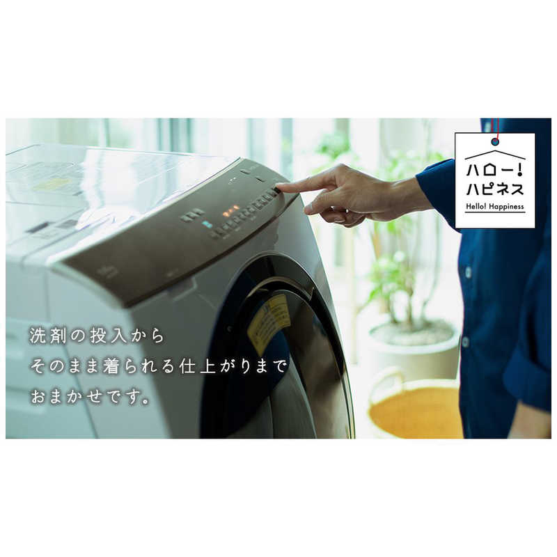 日立　HITACHI 日立　HITACHI ドラム式洗濯乾燥機 ビックドラム 洗濯11.0kg 乾燥6.0kg (左開き) BD-SX110FL-N ロゼシャンパン BD-SX110FL-N ロゼシャンパン