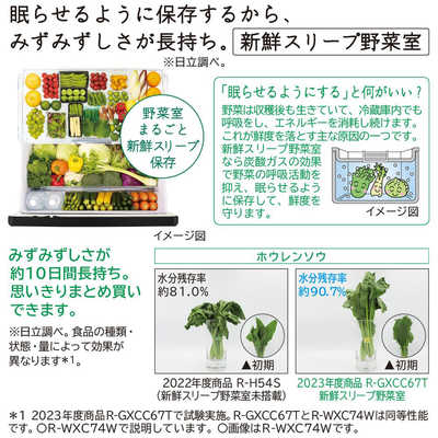 日立 HITACHI 冷蔵庫 6ドア 735L フレンチドア(観音開き) WXCタイプ 幅 
