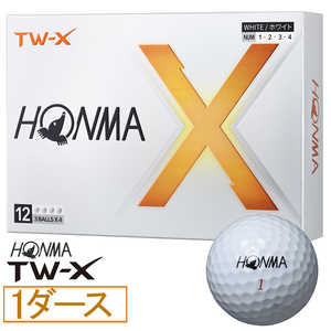 �c�A�[���[���h TW-X 2024�N���f�� [�z���C�g]