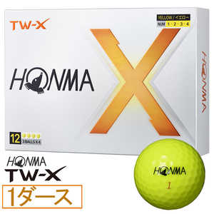 �c�A�[���[���h TW-X 2024�N���f�� [�C�G���[]