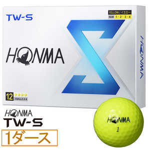 �c�A�[���[���h TW-S 2024�N���f�� [�C�G���[]