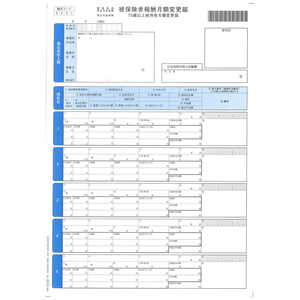 オービック 単票被保険者月額変更届 09-SP5163 オービック 単票被保険者月額変更届 09-SP5163