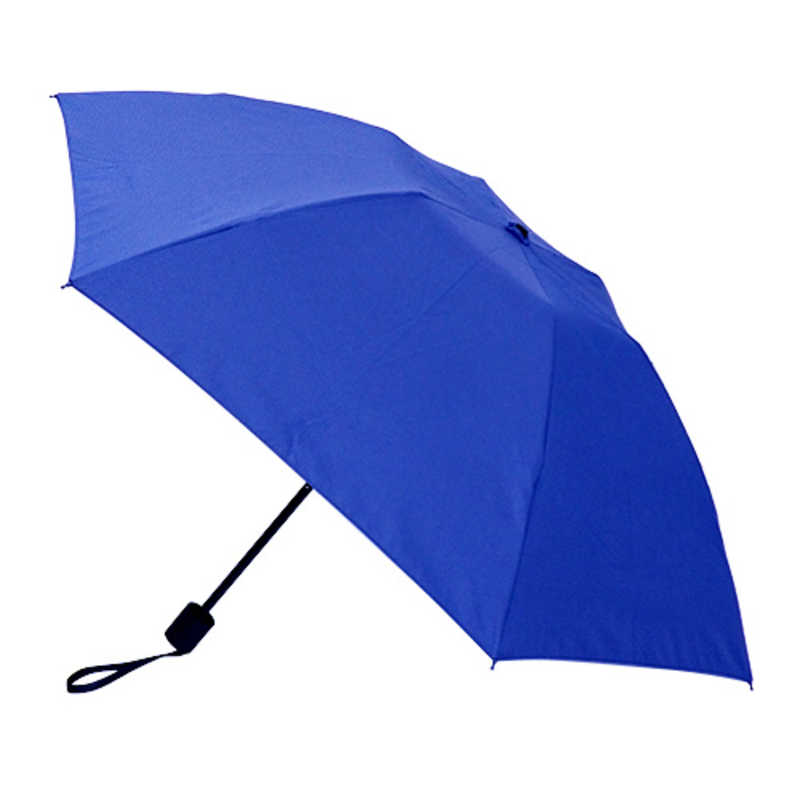 東急ハンズ 折りたたみ傘 簡単開閉 お値打ち価格で 限定版 hands+ ブルー 19H+WST051 19-hands+WST-051 雨傘 55cm
