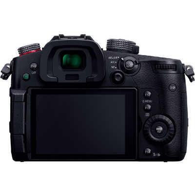 パナソニック Panasonic ミラーレス一眼カメラ LUMIX DC-GH5S ボディ