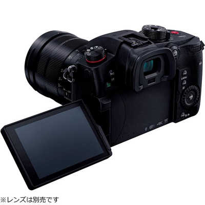 パナソニック Panasonic ミラーレス一眼カメラ LUMIX DC-GH5S ボディ