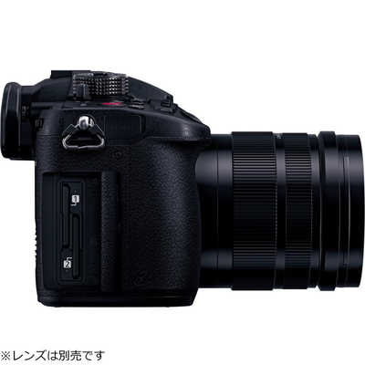 パナソニック Panasonic ミラーレス一眼カメラ LUMIX DC-GH5S ボディ