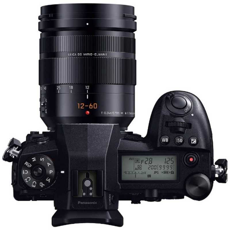 パナソニック　Panasonic パナソニック　Panasonic ミラーレス一眼カメラ(ボディ単体)ブラック DC-G9L DC-G9L