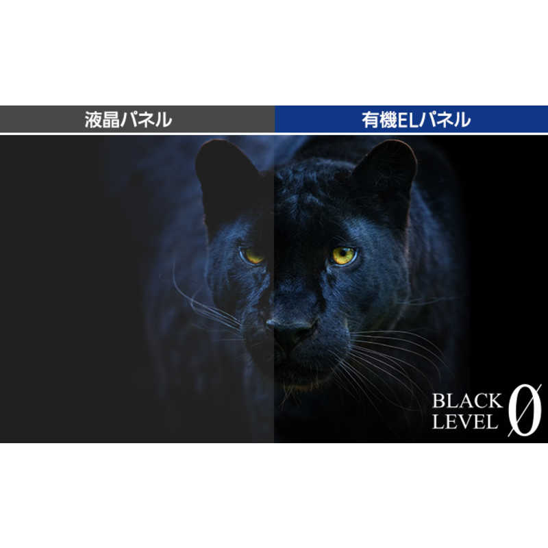 パナソニック　Panasonic パナソニック　Panasonic 有機ELテレビ TH-55FZ1000 TH-55FZ1000