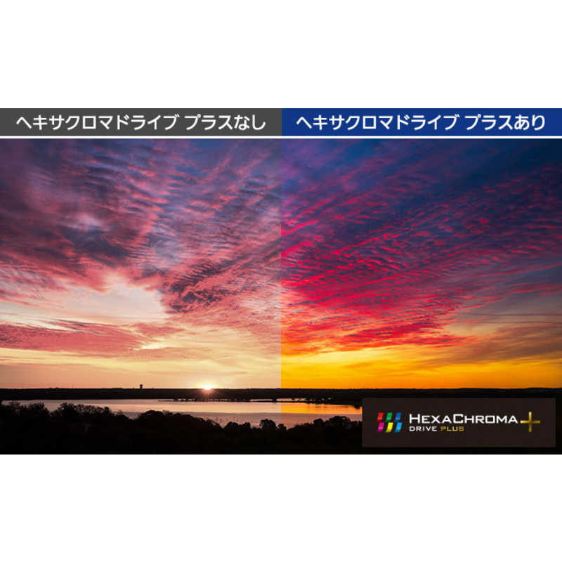 パナソニック　Panasonic パナソニック　Panasonic 有機ELテレビ TH-55FZ1000 TH-55FZ1000