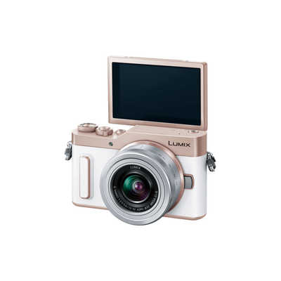 【新品】Panasonic LUMIX DC-GF10W-W ホワイト