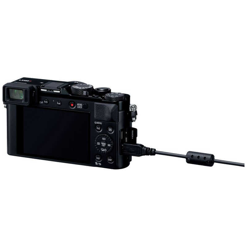 パナソニック　Panasonic パナソニック　Panasonic デジタルカメラ LUMIX DC-LX100M2 DC-LX100M2