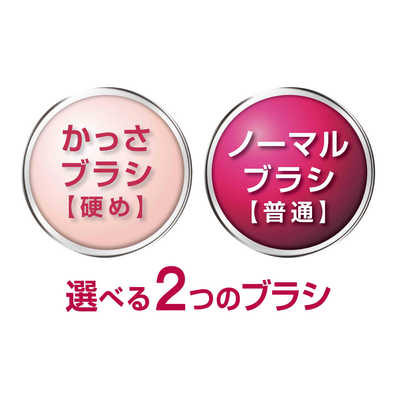 パナソニック　ヘッドスパ AC100-240V EH-HE9A 概要 頭皮エステ サロンタッチタイプ EH-HE9A | ヘアケア