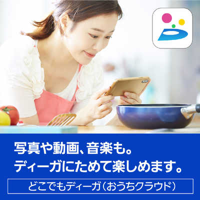 パナソニック Panasonic ブルーレイレコーダー DMR-2CG300 の通販