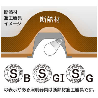 パナソニック Panasonic LED電球[E26 /昼白色 /485ルーメン /2個