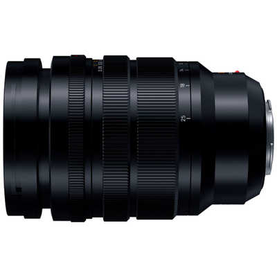 パナソニック ズームレンズ マイクロフォーサーズ用 ライカ DG VARIO-ELMARIT 12-60mm/F2.8-4.0 ASPH./POWER パナソニック 超望遠ズームレンズ マイクロフォーサーズ用 ライカ DG