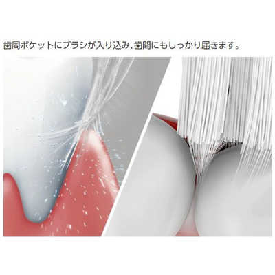パナソニック Panasonic 電動歯ブラシ 音波振動ハブラシ ｢ドルツ｣ EW