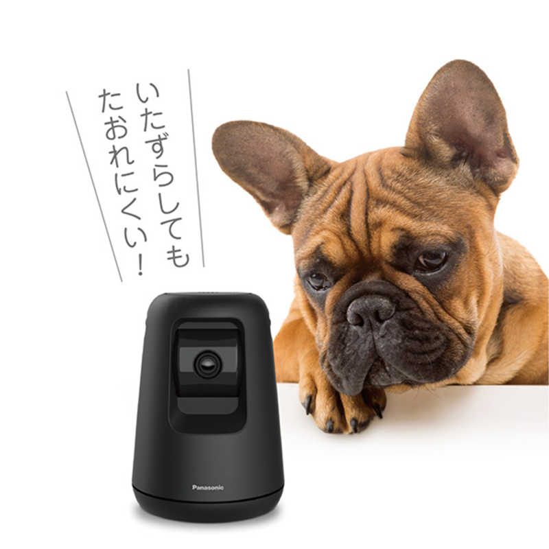 パナソニック Panasonic ホームネットワークシステム HDペットカメラ ブラック KX-HDN215-K の通販 |  カテゴリ：パソコン・周辺機器・プリンター | パナソニック Panasonic | パナソニック 家電通販のコジマネット - 全品代引き手数料無料
