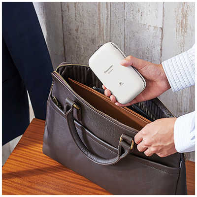 パナソニック Panasonic コンパクト脱臭機 ライトグレー 車載・省