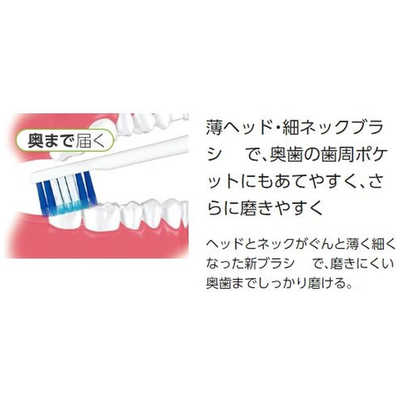 パナソニック Panasonic 電動歯ブラシ Doltz (ドルツ) [音波・超