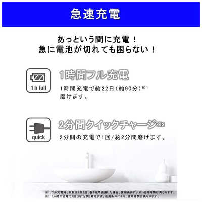パナソニック Panasonic 電動歯ブラシ Doltz (ドルツ) グレー EW-DA44
