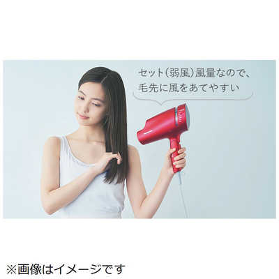 パナソニック Panasonic ヘアードライヤー 高浸透 [国内専用