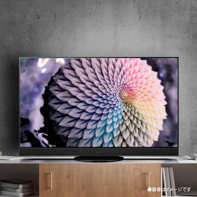 パナソニック Panasonic 有機ELテレビ VIERA ( ビエラ ) [ 55V型 / 4K