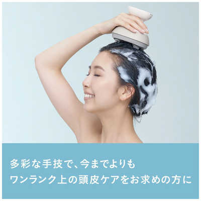 パナソニック Panasonic ヘッドスパ 国内・海外兼用 AC100-240V