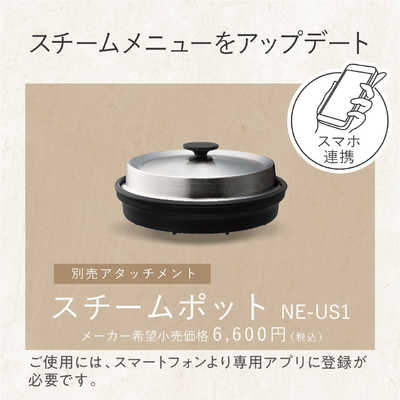 パナソニック Panasonic オーブンレンジ 25L フラット NE-UBS5A-W