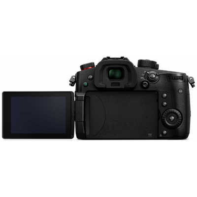 パナソニック Panasonic ミラーレス一眼カメラ LUMIX DC-GH5M2 ボディ