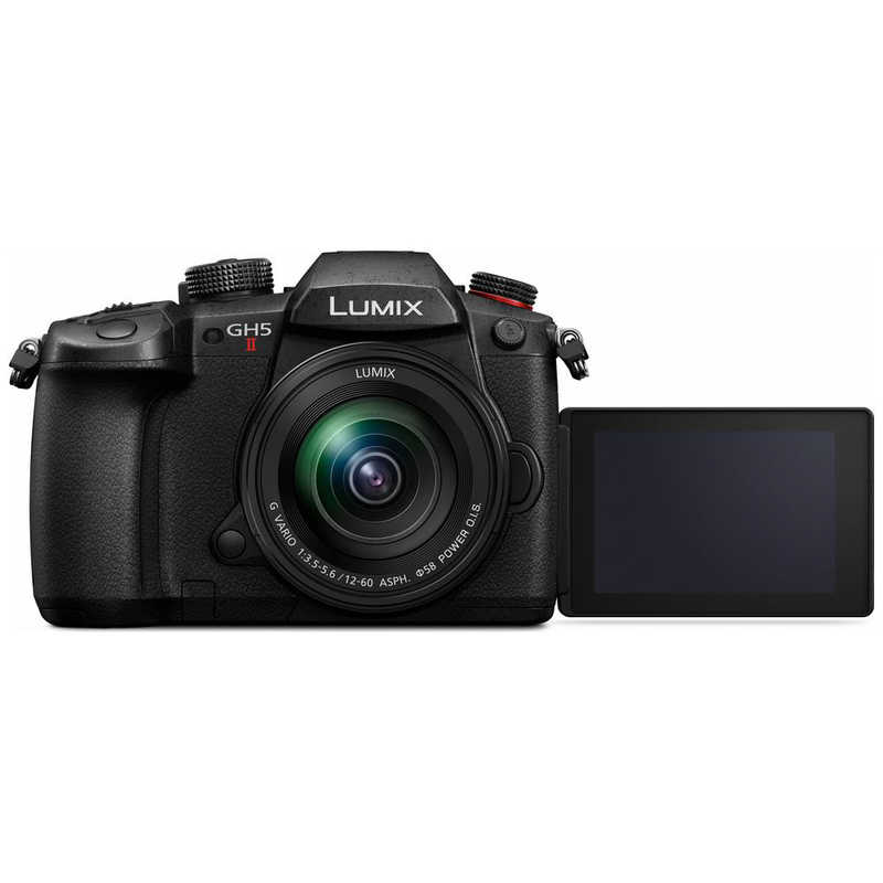 パナソニック　Panasonic パナソニック　Panasonic ミラーレス一眼カメラ LUMIX DC-GH5M2M 標準ズームレンズキット LUMIX DC-GH5M2M 標準ズームレンズキット