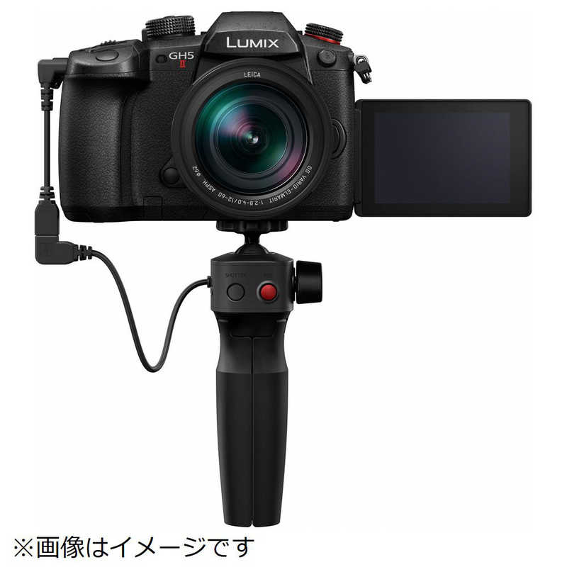 パナソニック　Panasonic パナソニック　Panasonic ミラーレス一眼カメラ LUMIX DC-GH5M2M 標準ズームレンズキット LUMIX DC-GH5M2M 標準ズームレンズキット