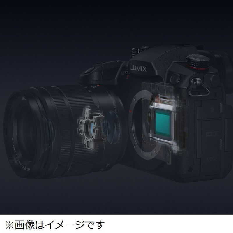 パナソニック　Panasonic パナソニック　Panasonic ミラーレス一眼カメラ LUMIX DC-GH5M2M 標準ズームレンズキット LUMIX DC-GH5M2M 標準ズームレンズキット