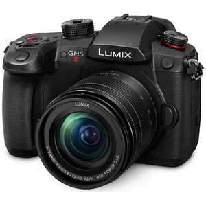 ѥʥ˥å Panasonic ߥ顼쥹㥫 LUMIX DC-GH5M2M ɸॺ󥺥å