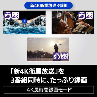 パナソニック Panasonic ブルーレイレコーダー DIGA(プレミアム