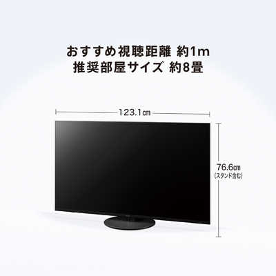 パナソニック Panasonic 液晶テレビ VIERA ( ビエラ ) [ 55V型