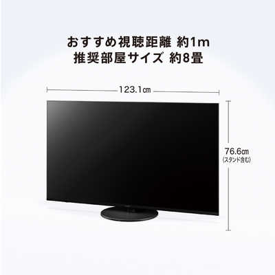 パナソニック Panasonic 液晶テレビ VIERA ( ビエラ ) [ 55V型