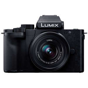 パナソニック　Panasonic ミラーレス一眼カメラ LUMIX DC-G100K 標準ズームレンズキット