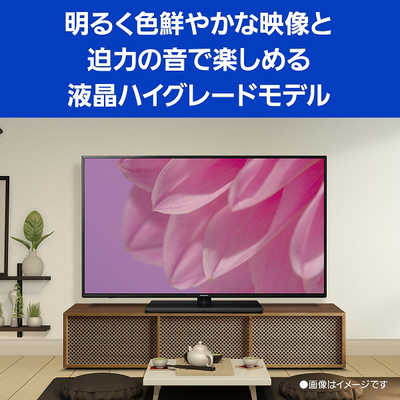 パナソニック　Panasonic VIERA(ビエラ) 液晶テレビ 49V型 4Kチューナー内蔵（宅配お届け品） TH-49LX900