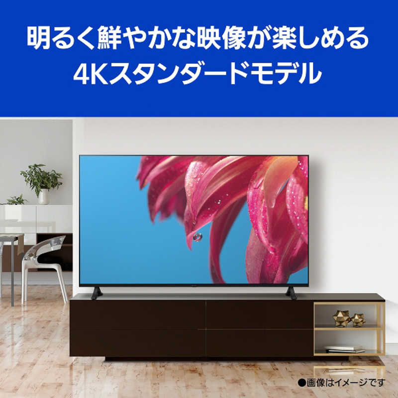 パナソニック　Panasonic パナソニック　Panasonic VIERA(ビエラ) 液晶テレビ 75V型 4Kチューナー内蔵 TH-75LX800 TH-75LX800