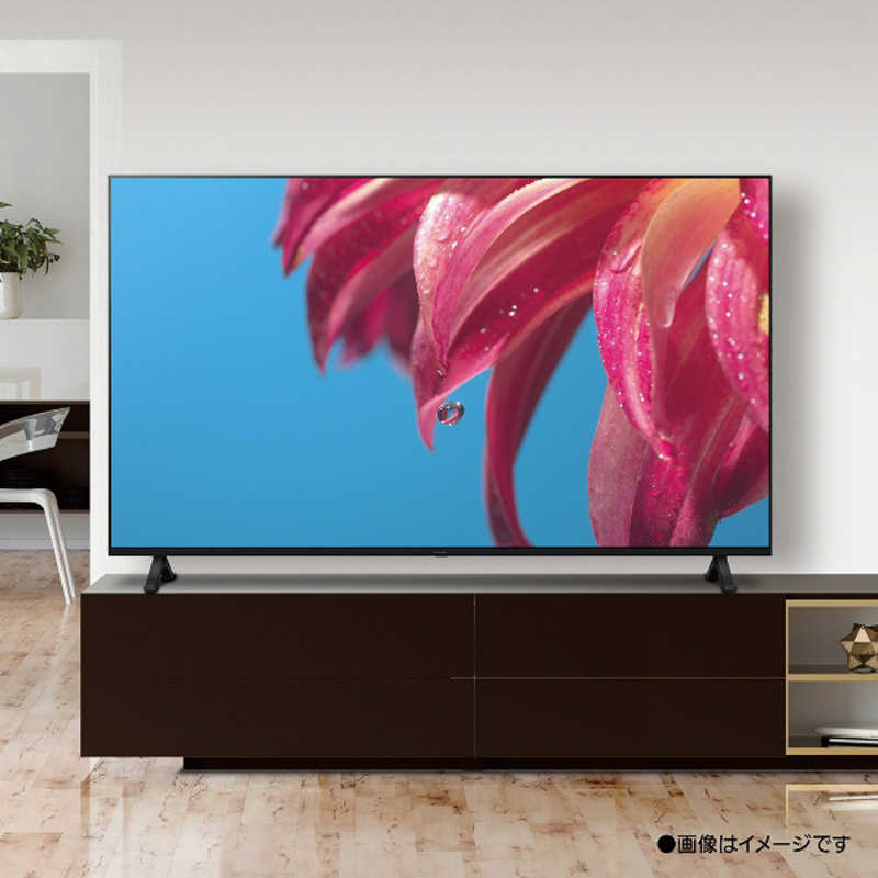 パナソニック　Panasonic パナソニック　Panasonic VIERA(ビエラ) 液晶テレビ 75V型 4Kチューナー内蔵 TH-75LX800 TH-75LX800