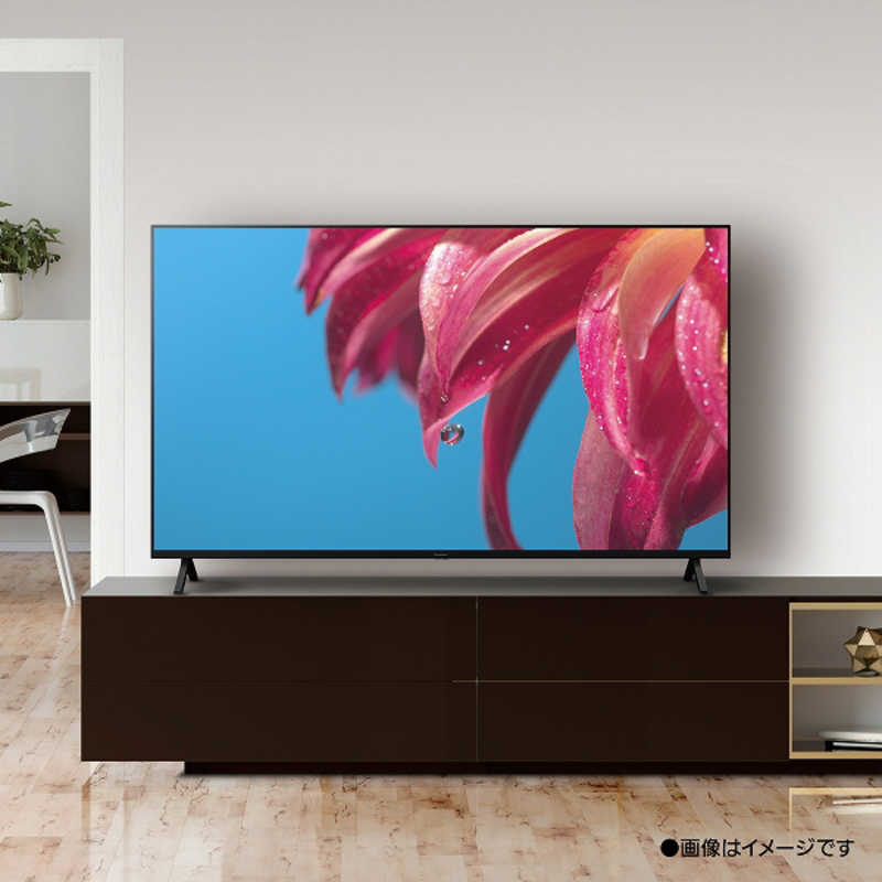 パナソニック　Panasonic パナソニック　Panasonic VIERA(ビエラ) 液晶テレビ 65V型 4Kチューナー内蔵 TH-65LX800 TH-65LX800